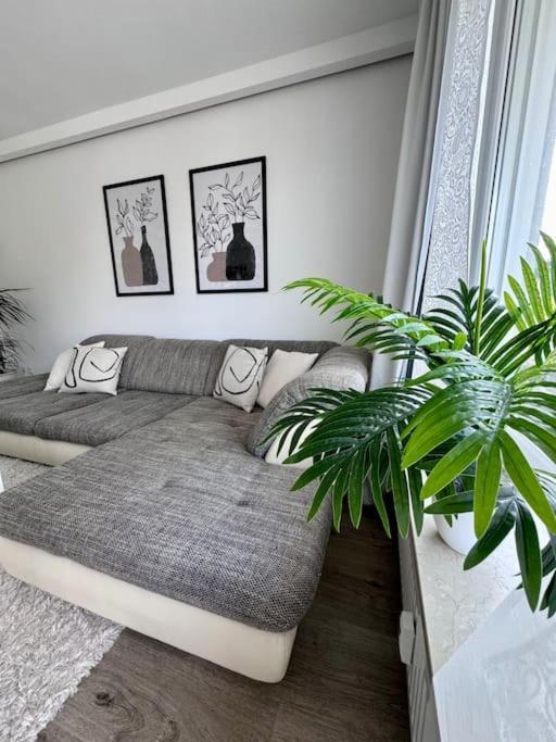 Schick, Gemuetlich & Naehe Therme Bad Lippspringe Εξωτερικό φωτογραφία
